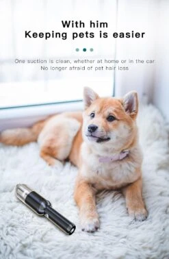 FOSENHL Portable Cordless Handheld Vacuum Car Vacuum Cleaner High Power,with Removeable Handle And Flashlight Function -Small Appliance Store 617UdkLBehL. AC SL1500