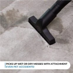 Quantum X Upright Water Filter Vacuum — The Best Bagless Household Vac Cleaner With Water & MicroSilver Filtration To Clean Wet & Dry Messes - Pet, Dog Hair & Toddler Spills On Carpet & Hardwood Floor 16 Quantum X Upright Water Filter Vacuum — The Best Bagless Household Vac Cleaner With Water & MicroSilver Filtration To Clean Wet & Dry Messes - Pet, Dog Hair & Toddler Spills On Carpet & Hardwood Floor -Small Appliance Store 716pO4w3o8S. AC SL1500