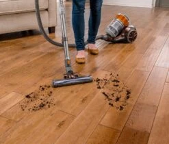 Bissell Hard Floor Expert Multi-Cyclonic Bagless Canister Vacuum, 1547 - Corded Burnt Orange -Small Appliance Store 81UM86OuqL. AC SL1500