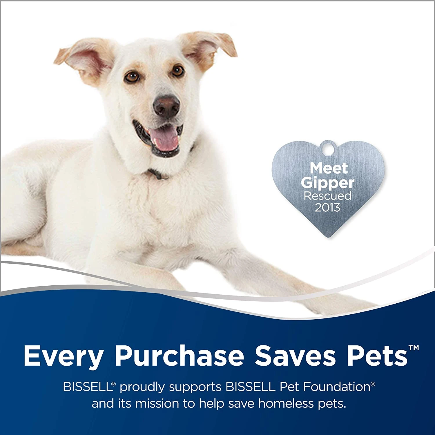 BISSELL Zing Lightweight, Bagless Canister Vacuum, 2156A,Black/Citrus Lime 4 BISSELL Zing Lightweight, Bagless Canister Vacuum, 2156A,Black/Citrus Lime - Image 2