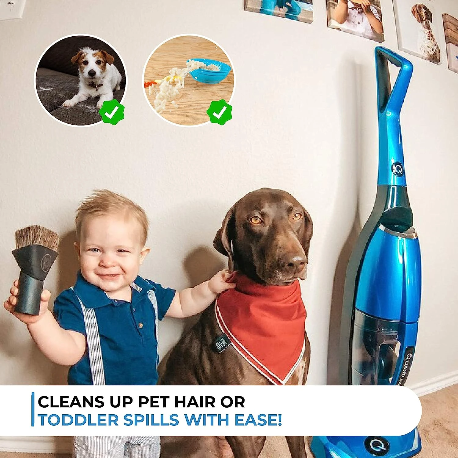 Quantum X Upright Water Filter Vacuum — The Best Bagless Household Vac Cleaner With Water & MicroSilver Filtration To Clean Wet & Dry Messes - Pet, Dog Hair & Toddler Spills On Carpet & Hardwood Floor 8 Quantum X Upright Water Filter Vacuum — The Best Bagless Household Vac Cleaner With Water & MicroSilver Filtration To Clean Wet & Dry Messes - Pet, Dog Hair & Toddler Spills On Carpet & Hardwood Floor - Image 6